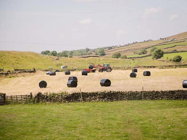 Dale House Farm Cottage Weathercote Dış mekan fotoğraf